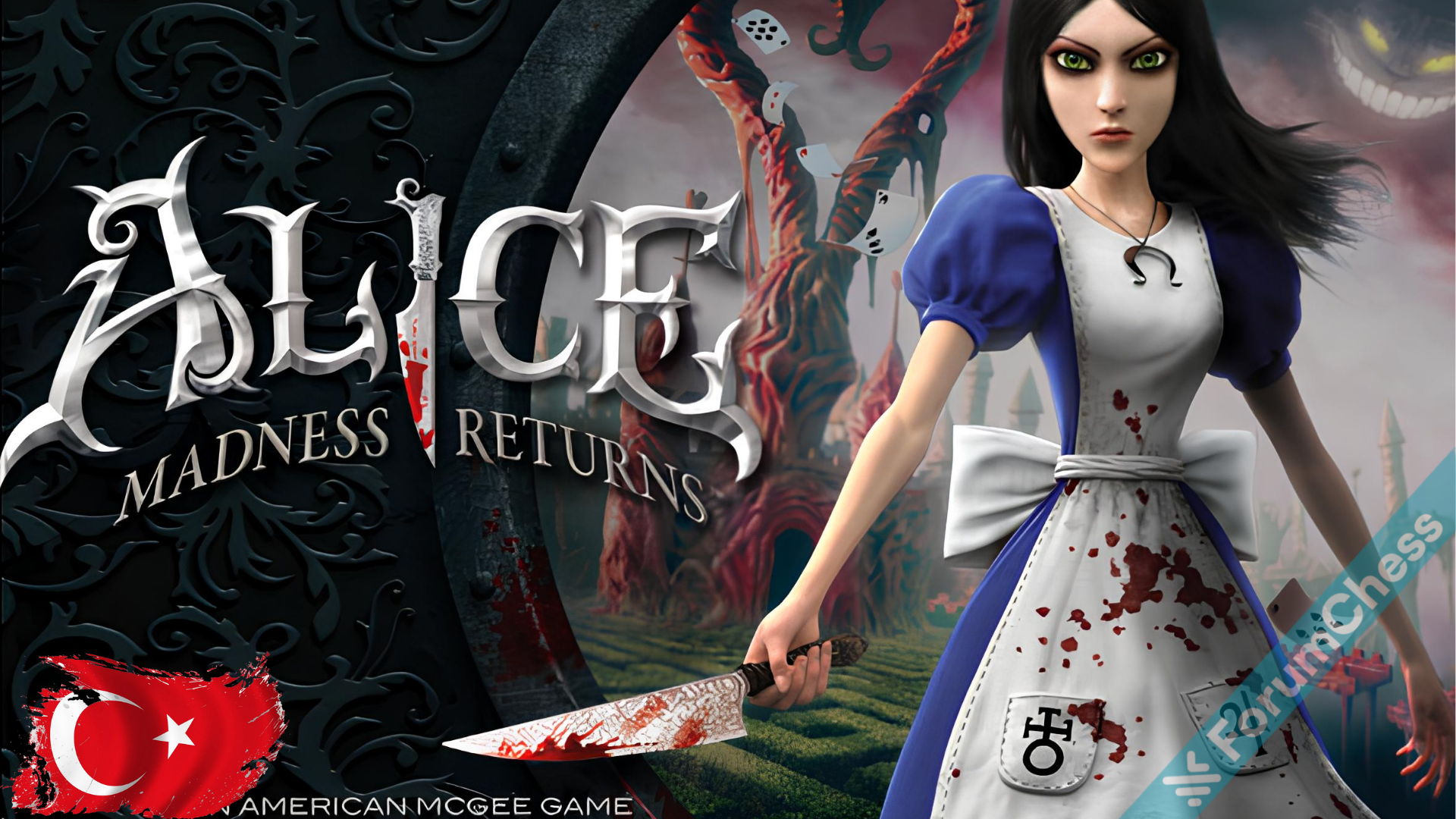 Alice Madness Returns Türkçe Yama.png