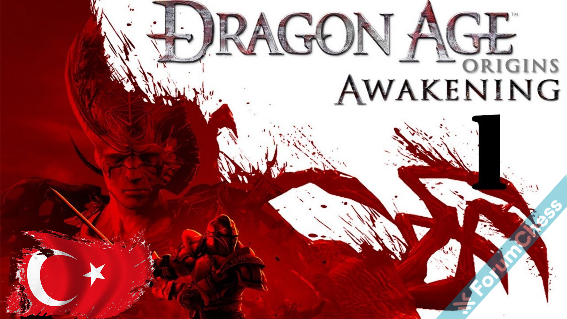 Dragon Age Awakening Türkçe Yama.png