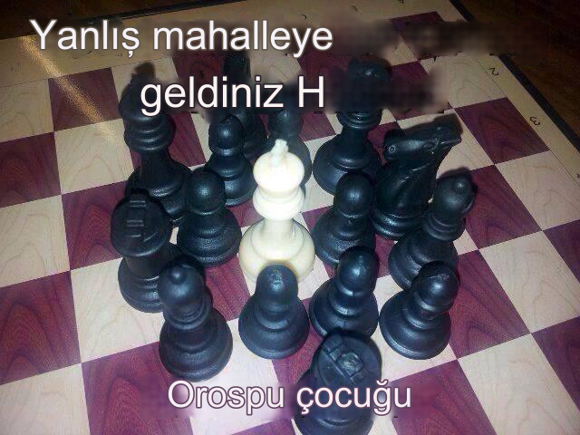 1708940028967.png