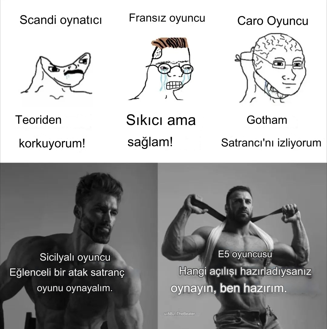1709909533446.png