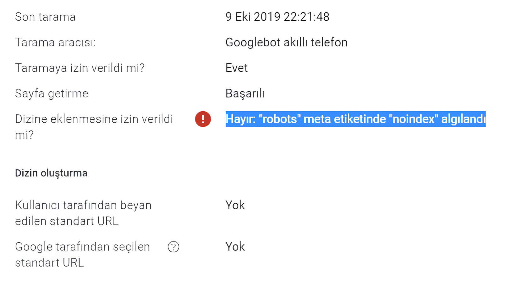 Hayır robots meta etiketinde noindex algılandı hatası.png